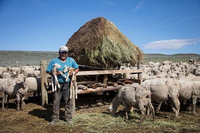 The Black Chamber: The Real American Spy Agency That Predated the CIA