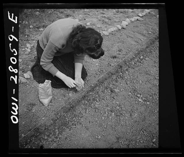 From the 101st Airborne to Historical Fiction: What the Screaming Eagles Taught Me About Storytelling